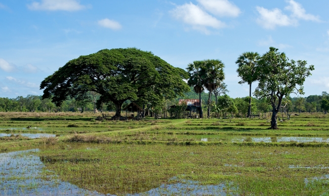 Khong Island